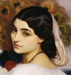 Pavonia (détail)